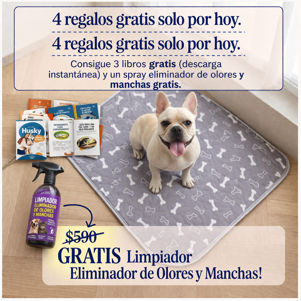 PuppyPad – La última alfombra higiénica que tu mascota va a necesitar