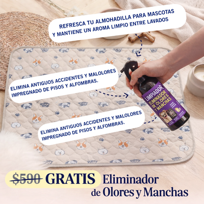 PuppyPad – La última alfombra higiénica que tu mascota va a necesitar