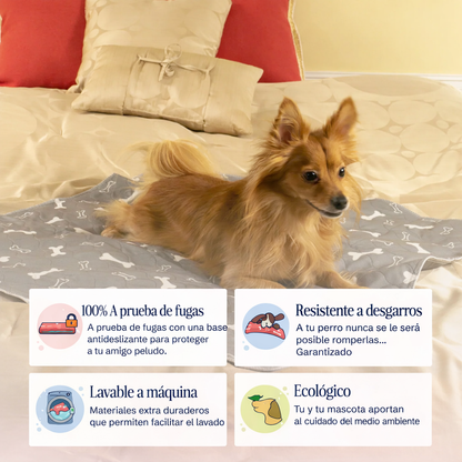 PuppyPad – La última alfombra higiénica que tu mascota va a necesitar