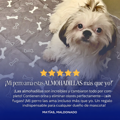 PuppyPad – La última alfombra higiénica que tu mascota va a necesitar