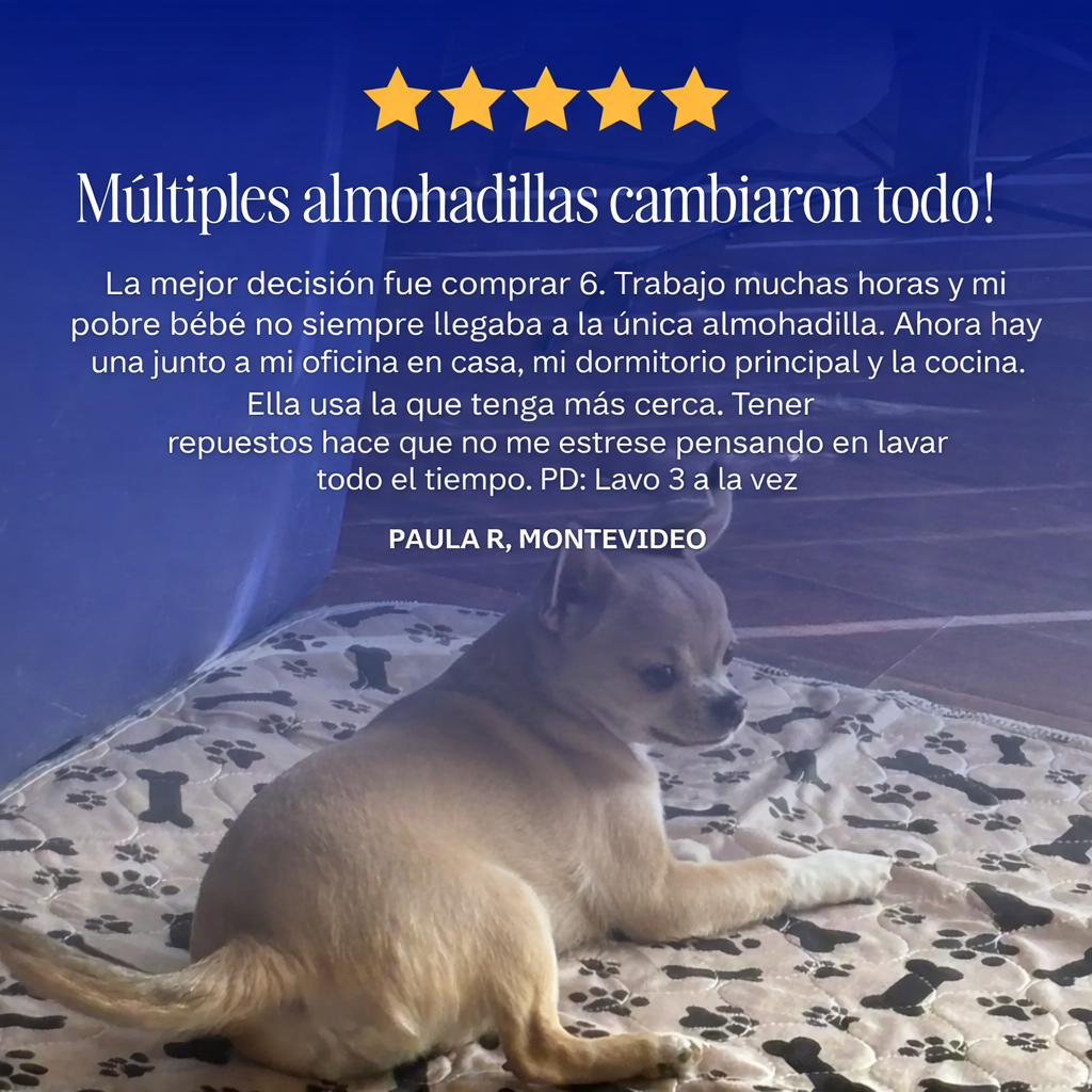 PuppyPad – La última alfombra higiénica que tu mascota va a necesitar