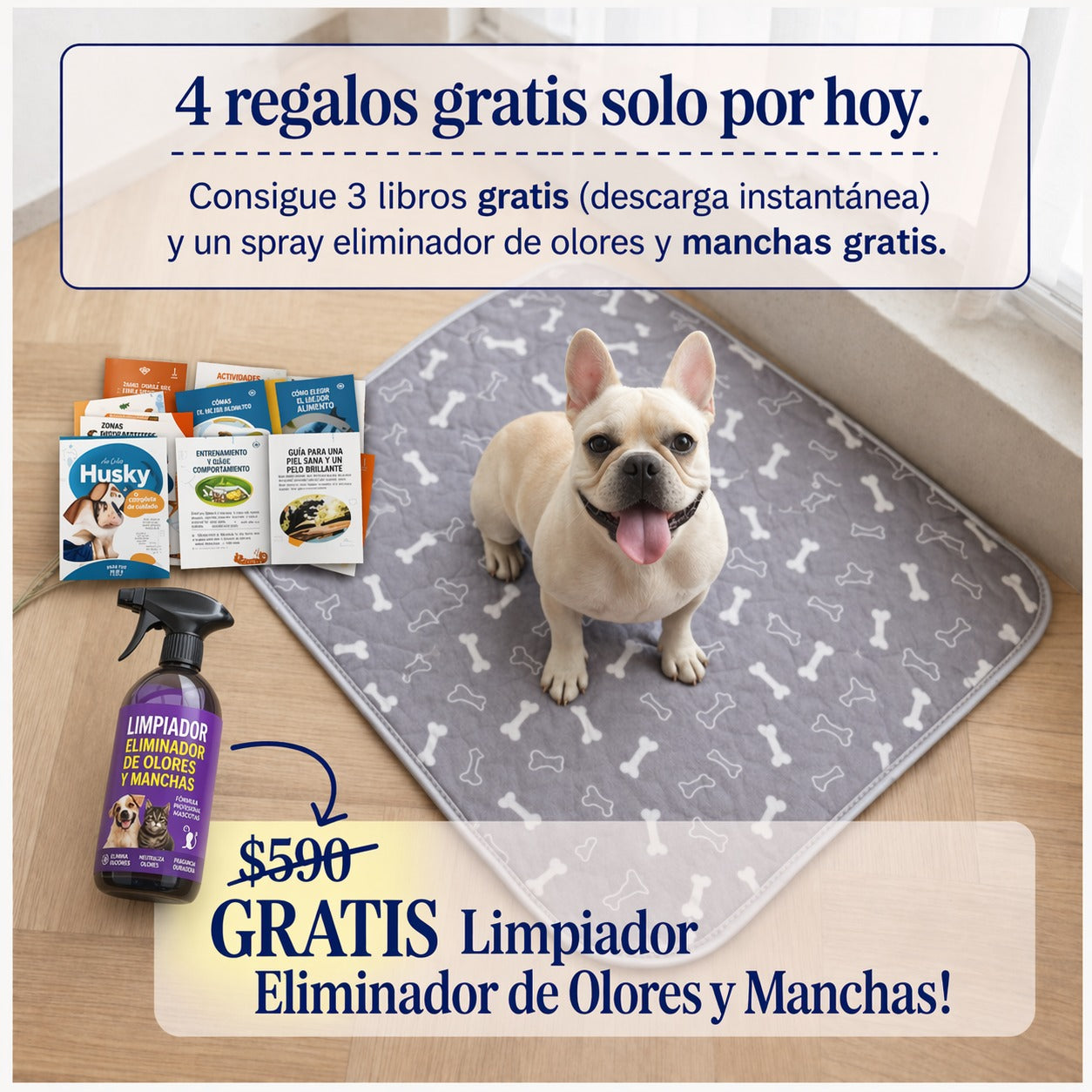 PuppyPad – La última alfombra higiénica que tu mascota va a necesitar